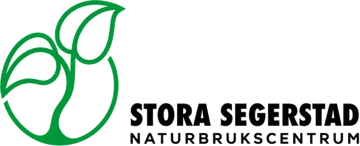 Stora Segerstad